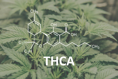 Section 2: Legal Considerations of THC-A Hemp Products